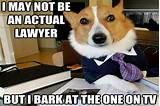 Lawyer Dog Meme Photos