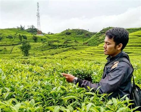 We did not find results for: 8 Spot Foto Kebun Teh Rancabali Ciwidey - Harga Tiket ...