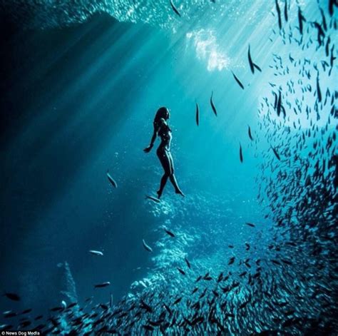 Under The Water Under The Sea Underwater Photos Underwater Photography Underwater Diving