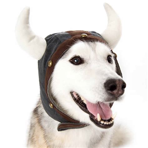 Viking Helmet Dog Hat By Dogo Baxterboo