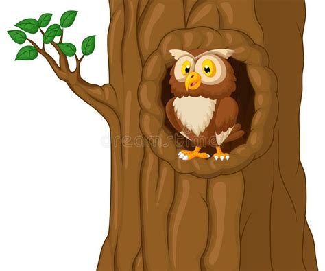 Cute Owl On Tree Clipart