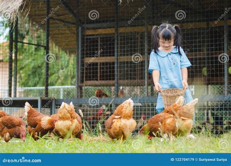 Happy Little Girl Feeding Chickens In The Farm Farming Pet Ha Stock