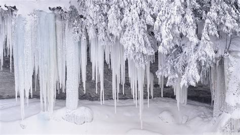 Icicles Ice Winter Snow Hd Wallpaper Nature And Landscape Wallpaper
