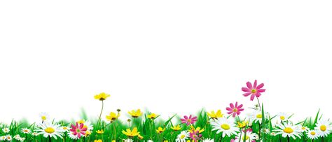 Nature Png Hd Background Images