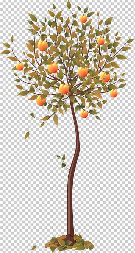 Four Seasons Hotels And Resorts Tree Png Clipart Autumn Beautiful