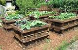 Images of Raised Garden Beds Made Out Of Pallets