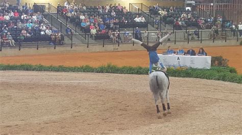 World Equestrian Games 2018 Guys Vaulting 4 Youtube