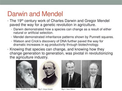 Ppt Agricultural Genetics Powerpoint Presentation Free Download Id
