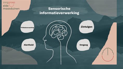 Sensorische Informatieverwerking By Maartje Jansen On Prezi