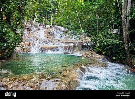 Cataratas Del Río Dunns Dunns River Falls Ocho Ríos Jamaica