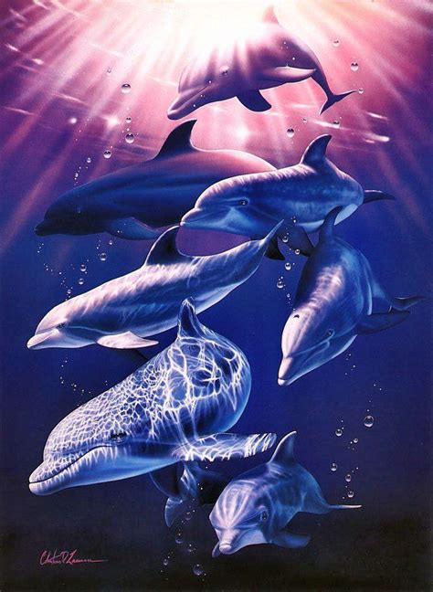 Картинки Дельфинов На Заставку Telegraph