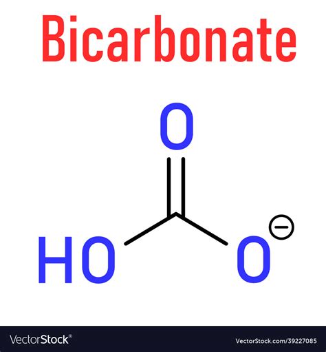 Bicarbonate Anion Molecule Chemical Formula Vector Image