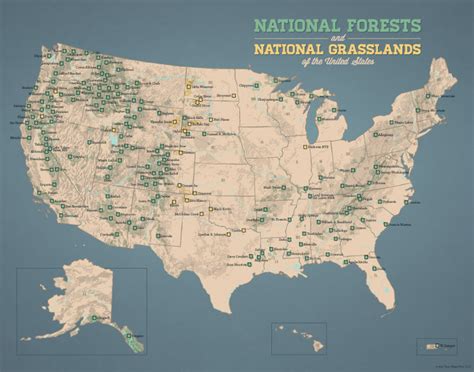 Us National Forests Map 11x14 Print Etsy Forest Map State Forest