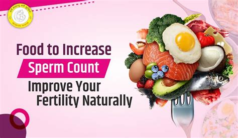 food to increase sperm count improve your fertility naturally