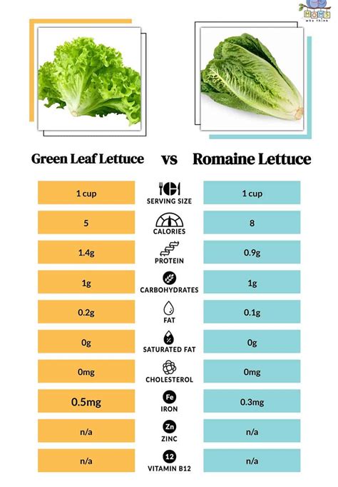 Green Leaf Lettuce Vs Romaine Differences In Appearance Taste