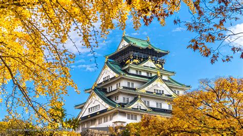 The brilliantly shining gold decorations found. 12 Best Things to Do in Osaka - Osaka Attractions