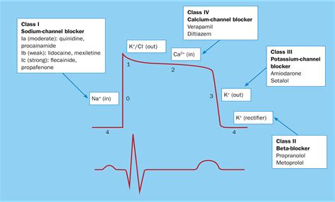 Classification And Choice Of Antiarrhythmic Therapies Barton Prescriber Wiley