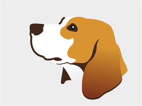 Beagle By Tom Oude Egberink On Dribbble