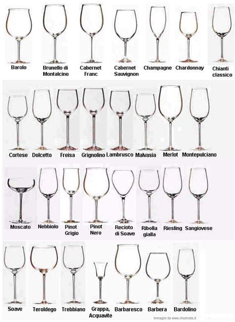 Types Of Wine Glasses Types Of Wine Glasses Wine Drinks Wine Knowledge