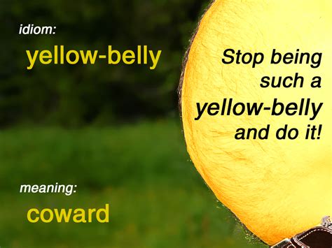 idiom yellow belly funky english