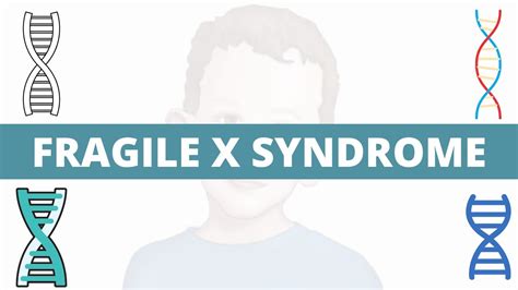 Fragile X Syndrome Pathology Signs And Symptoms Diagnosis Youtube