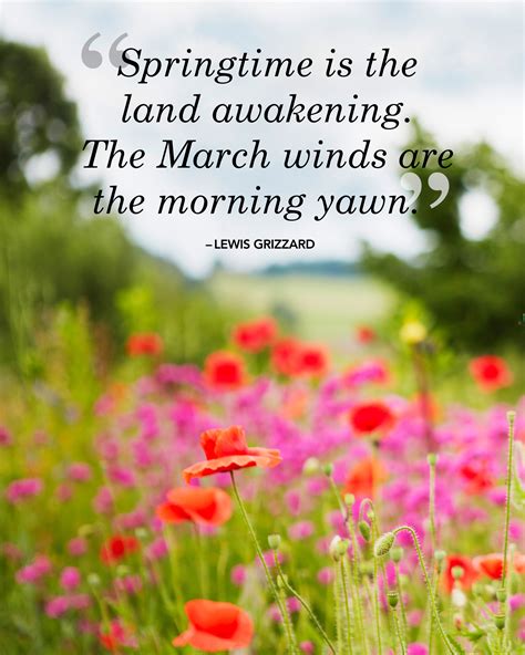 Spring is a beautiful time of the year. 26 Spring Quotes | SO LIFE QUOTES