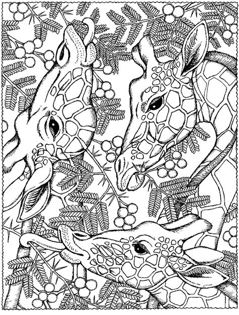 Giraffe Head Giraffes Adult Coloring Pages Giraffe Head With Flowers