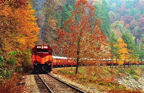 Catch Some Autumn Color On A Fall Foliage Train