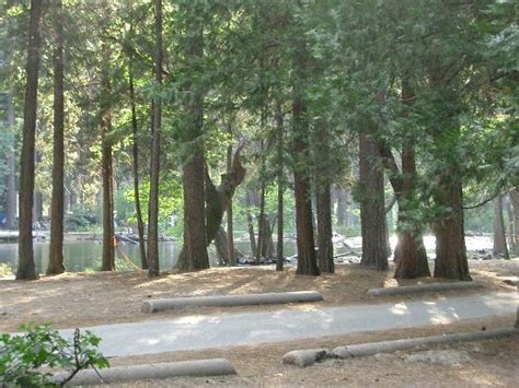 Typical Upper Pines Campsite Picture Of Upper Pines Campground