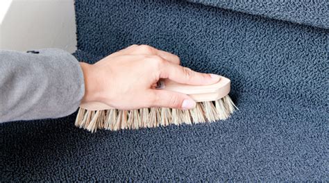 Teppich lässt sich problemlos mit rasierschaum reinigen rasierschaum ist neben seiner ursprünglichen anwendungsart ein hervorragendes reinigungsmittel für fasern aus natürlichen materialien und kunststoffen. Teppich reinigen? | Tipps zur Teppichreinigung