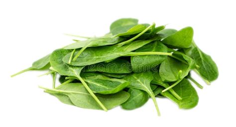 Spinach Isolated On White Background Close Up Shot Stock Photo Image