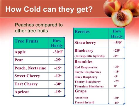 Growing Peaches In Climate Zone 5