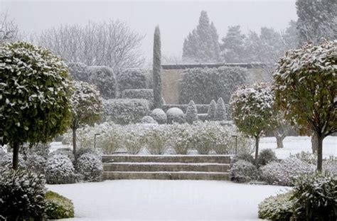 A Snow Covered Garden With Steps Leading Up To Trees And Bushes In The
