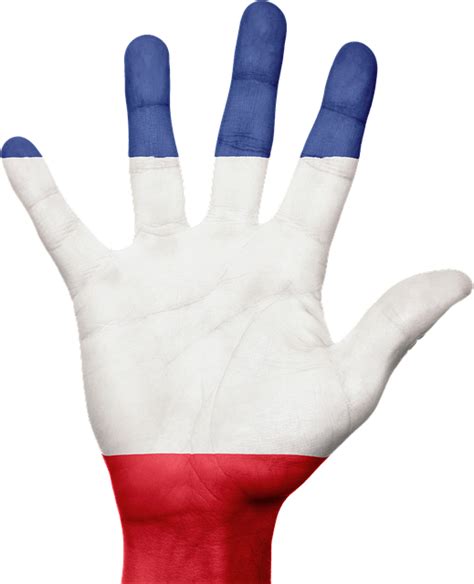 France Flag Hand Free Photo On Pixabay Pixabay