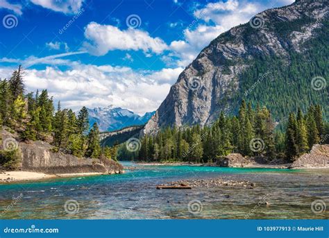 Bow River Banff Canadian Rockies Stock Image Image Of Hangs Hour
