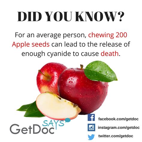 Cyanide In Apple Seeds Can Cause Death Getdoc Says