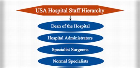 Hospital Hierarchy Nursing Doctor Staff Hierarchy Charts And Structures
