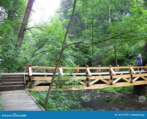 Wood Bridge Clear Creek Forest Stock Photo Image Of Forest Jilin