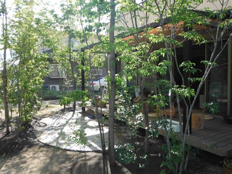 テラスに木陰をつくる 日高市 N宅 - 雑木の庭、庭づくり、水はけ改善、環境改善、お庭に関する ことなら中央園芸
