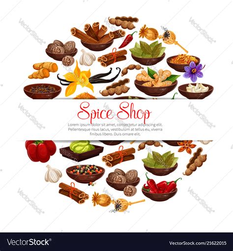 Spices And Herbs Poster Royalty Free Vector Image