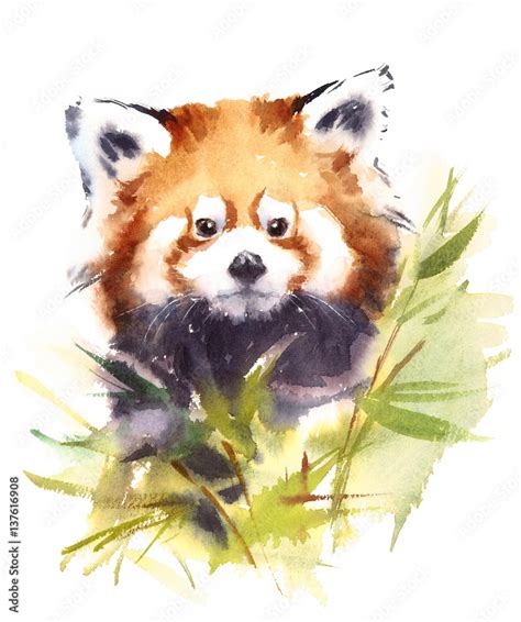Watercolor Red Panda Surrounded By Bamboo Branches With Leaves Wild