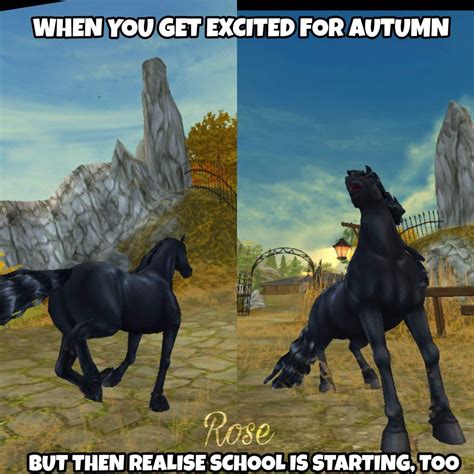 Pin By Astrid Silentbaker On Sso Memes Autumn Rose Excited Get Excited