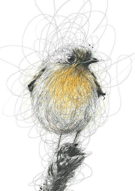 Pin By Steffi F On Birdy Bird Art Scribble Art Art