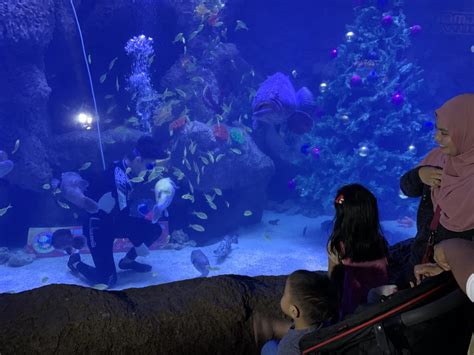 At the exhibit, you can have 'real vision' of some places and species such as mangrove trees in melaka, the pahang rainforest as well as fossil stones and extinct. The Shore Oceanarium - Tempat wajib singgah di Melaka ...