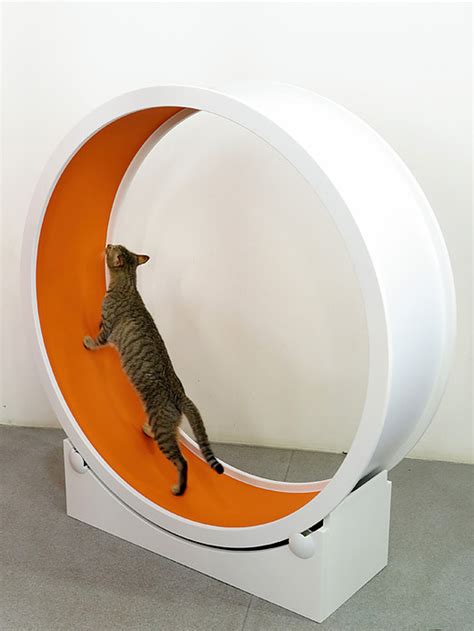 Without the need to hunt prey, cats. 26 Genius Products To Make Every Cat Parent's Life Much Easier