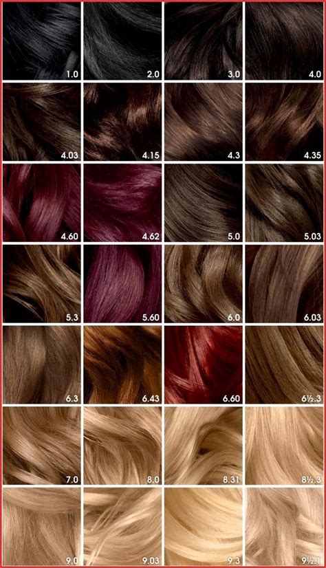 Garnier Hair Color Chart With Numbers