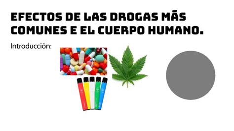 Efectos De Las Drogas Más Comunes En El Cuerpo Humano By Sara Hernández