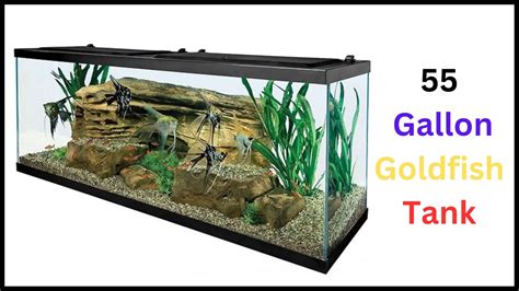 55 Gallon Goldfish Tank The Ultimate Guide To Setting Up