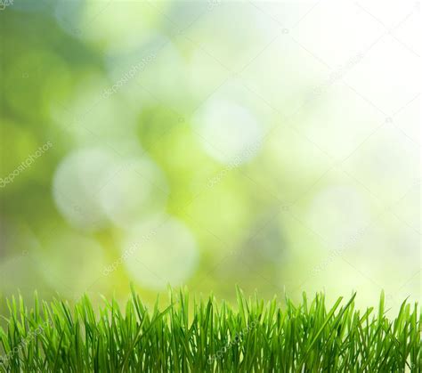 Natural Green Background With Selective Focus Stock Photo By