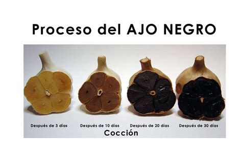 El Ajo Negro Tesoro Medicinal